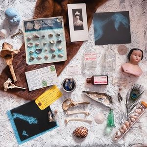 Mystery Oddity & Curiosity Boxes